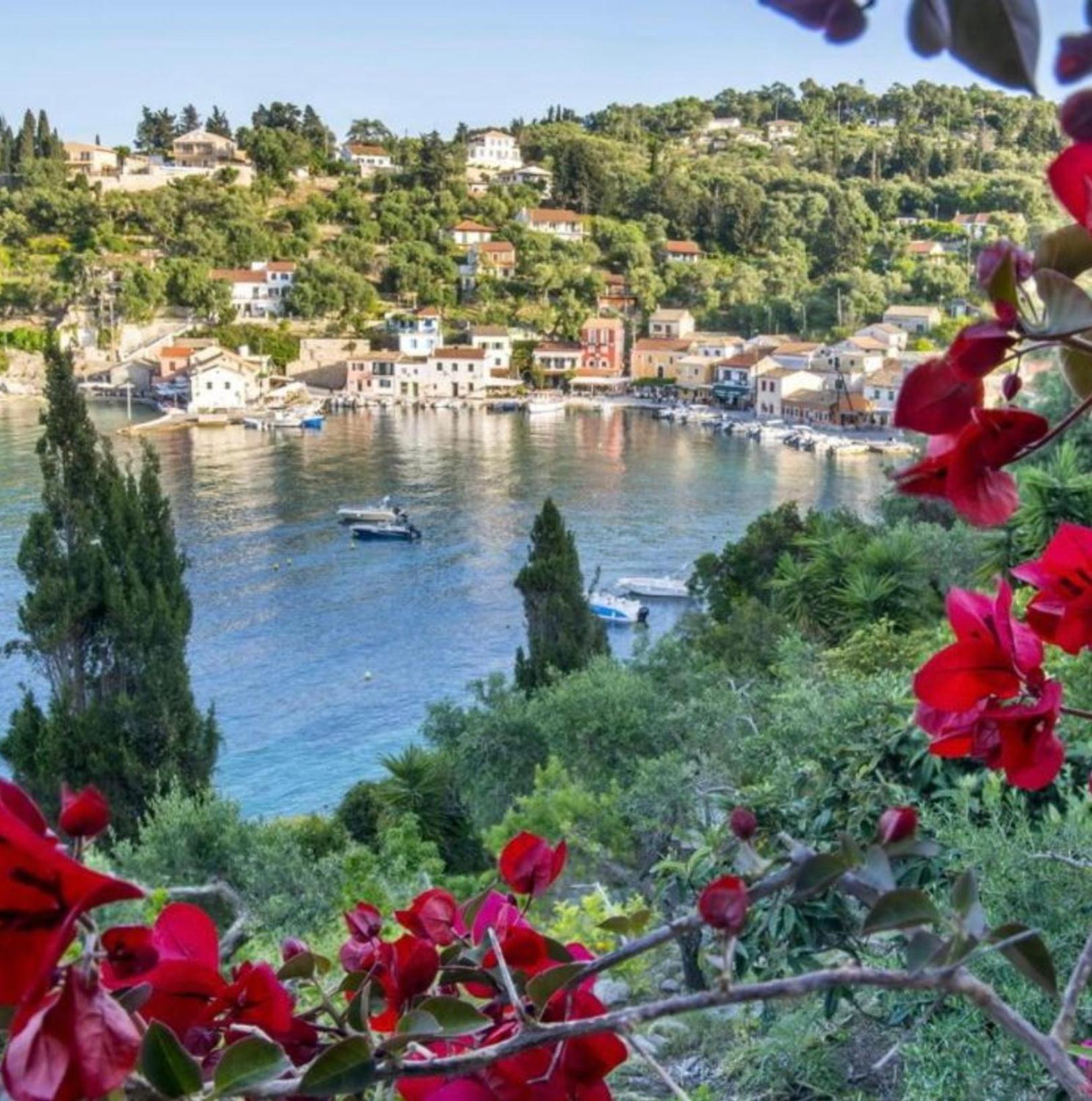 Aronis Spyros Panoramic Seaview Apartments Longós Eksteriør bilde